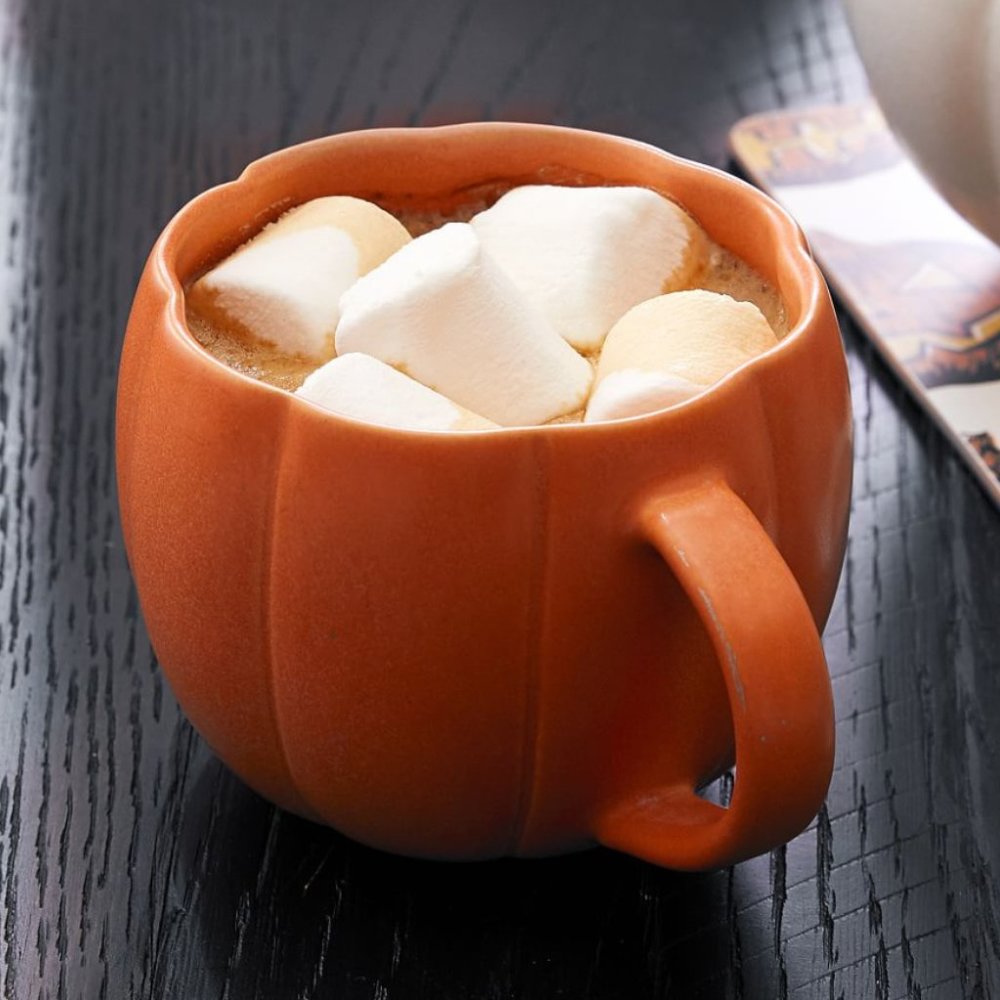 Pottery Barn Pumpkin Mug